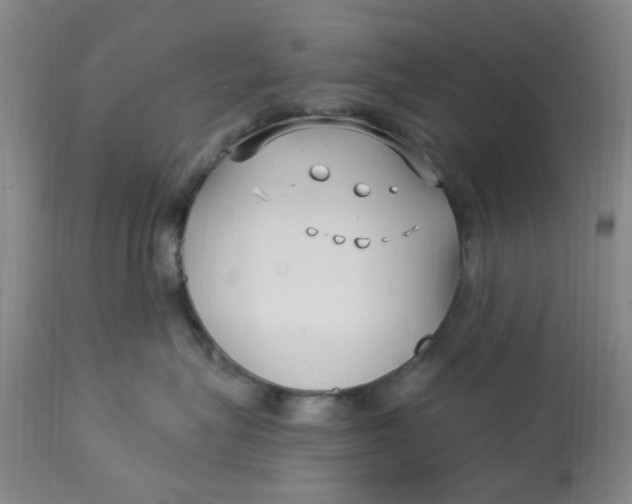 X0000113160575200909251355