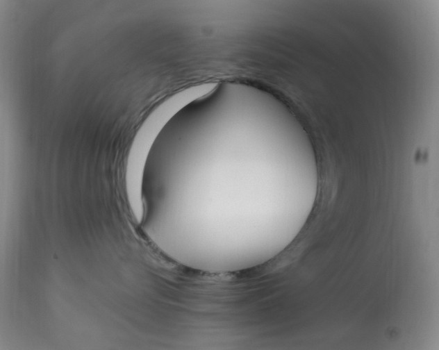 X0000113160576200909251355