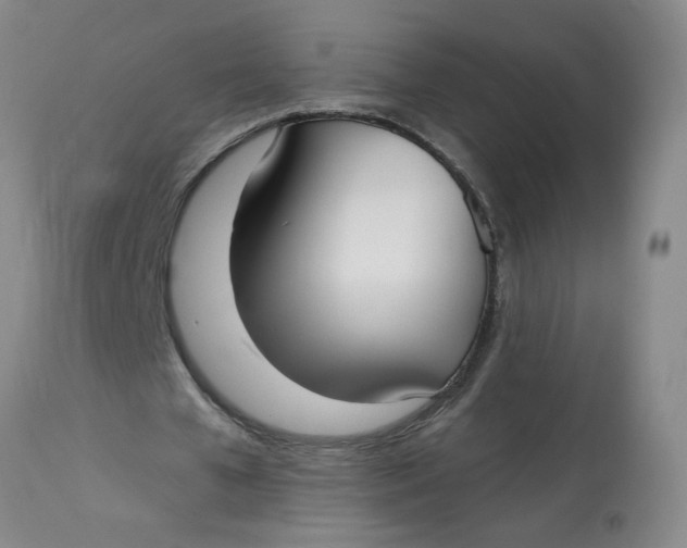 X0000113160577200909251354