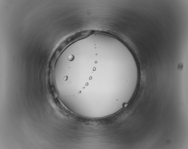 X0000113160580200909251354