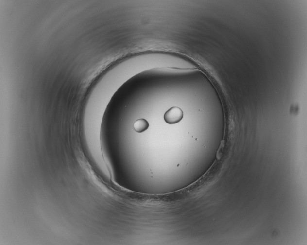 X0000113160581200909251354