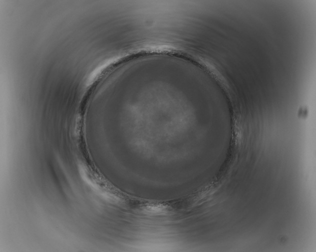 X0000113160583200909251354