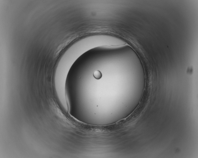 X0000113160585200909251354