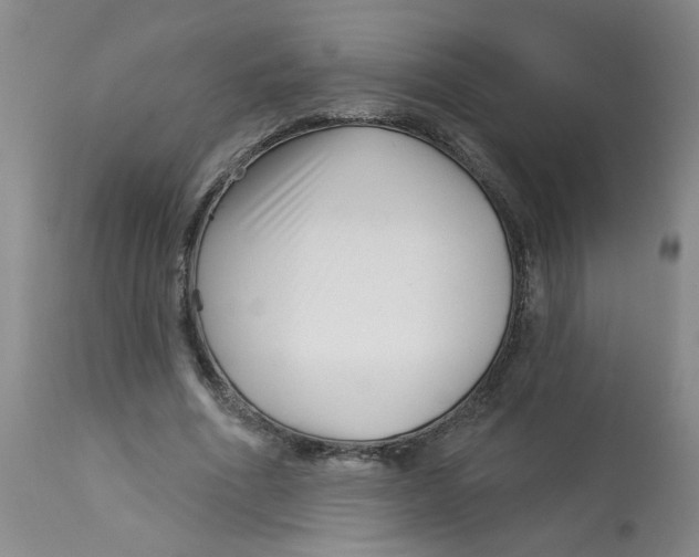 X0000113160586200909251354