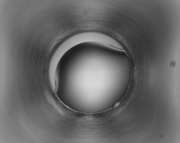 X0000113160589200909251354