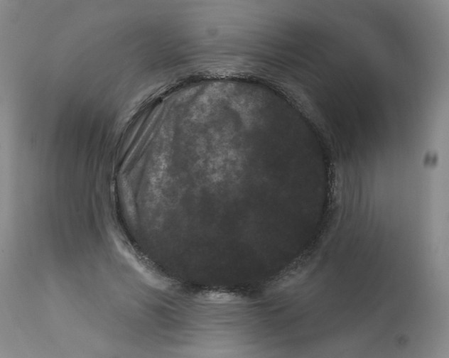 X0000113160590200909251354