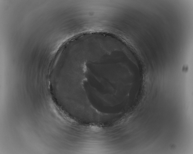 X0000113160592200909251354