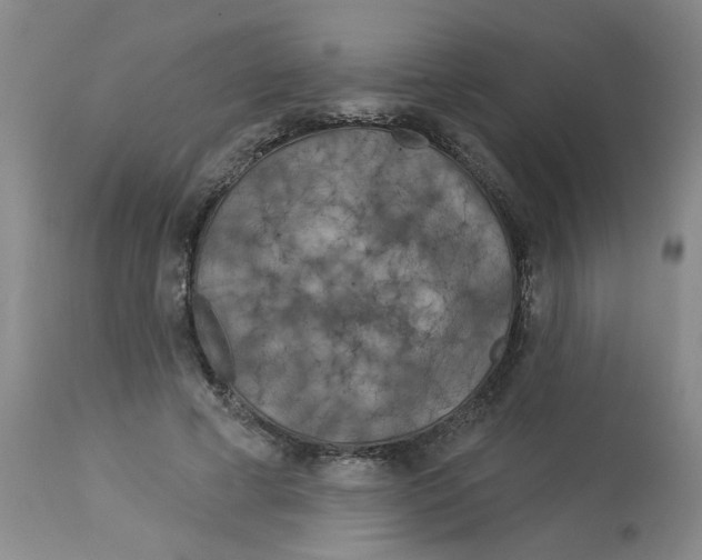 X0000113160593200909251353