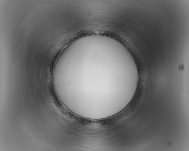 X0000113160594200909251353