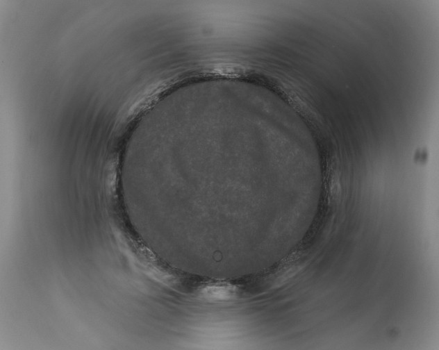 X0000113160595200909251353