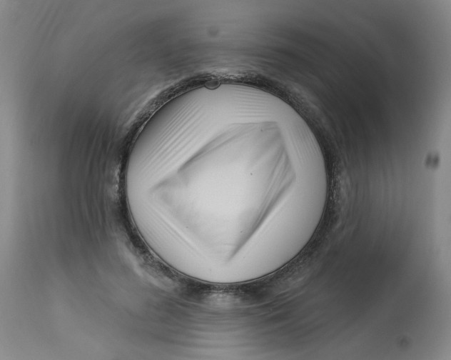 X0000113160596200909251353