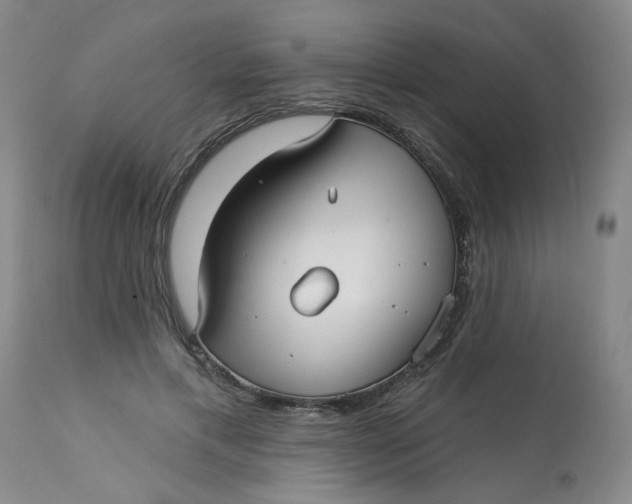 X0000113160597200909251353