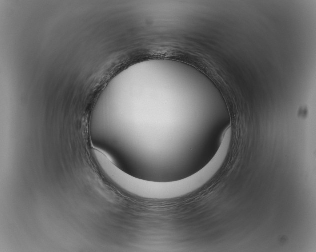 X0000113160601200909251353