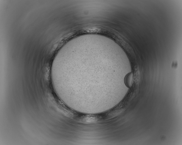 X0000113160604200909251353