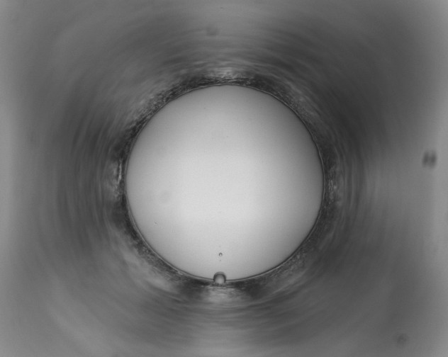 X0000113160605200909251353