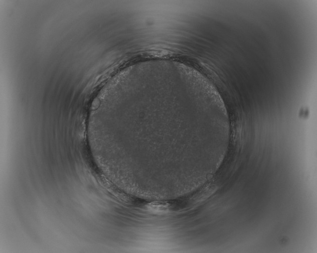 X0000113160606200909251353