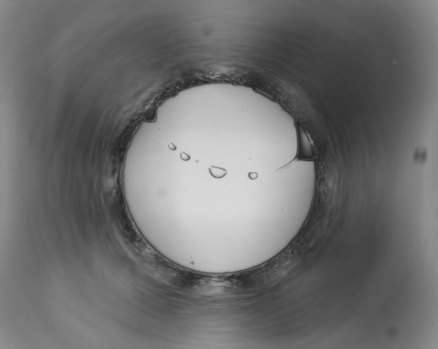 X0000113160607200909251353