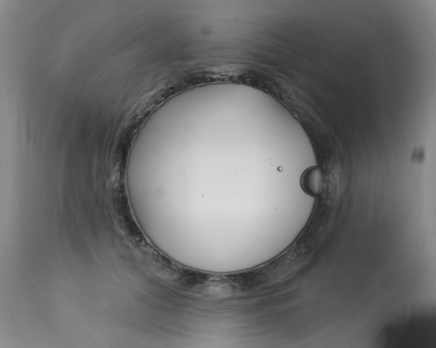 X0000113160608200909251353