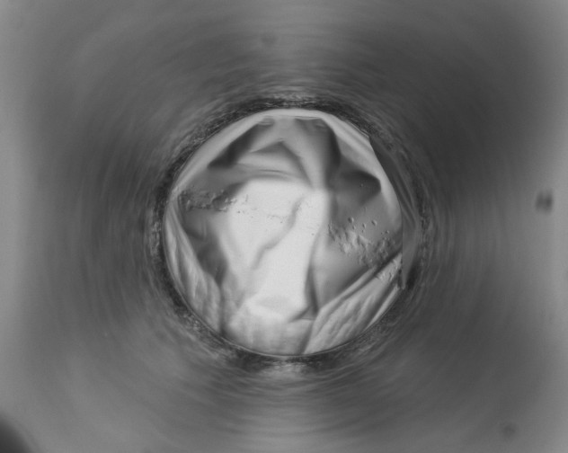 X0000113160609200909251353