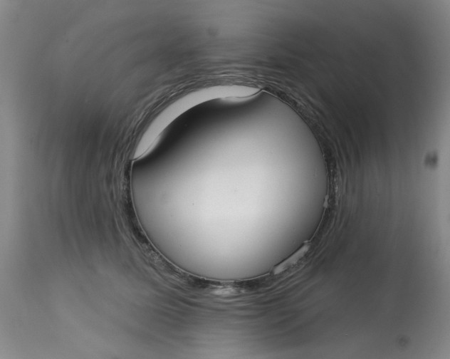 X0000113160611200909251353