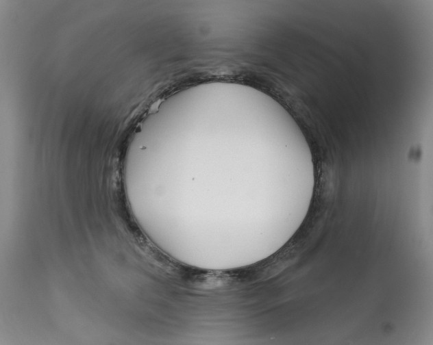 X0000113160612200909251353