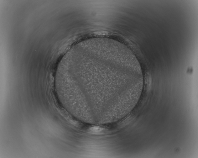 X0000113160614200909251353