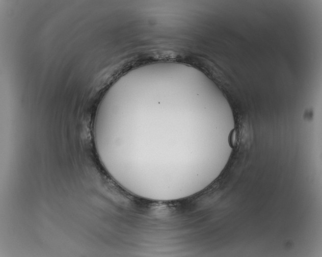 X0000113160616200909251353