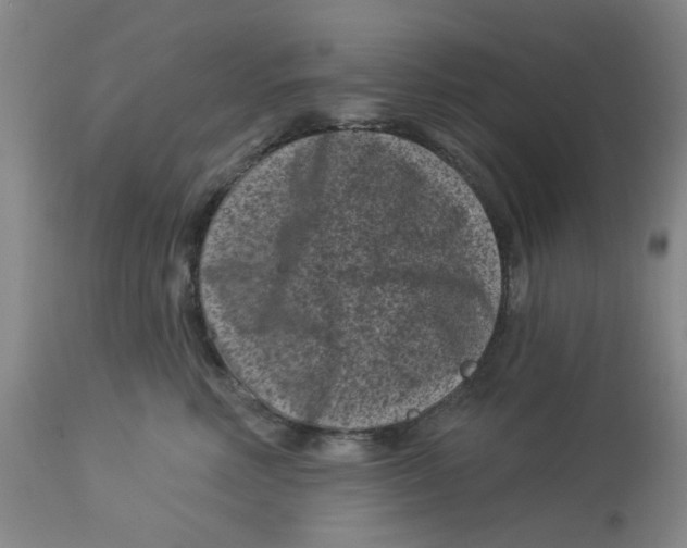 X0000113160618200909251353