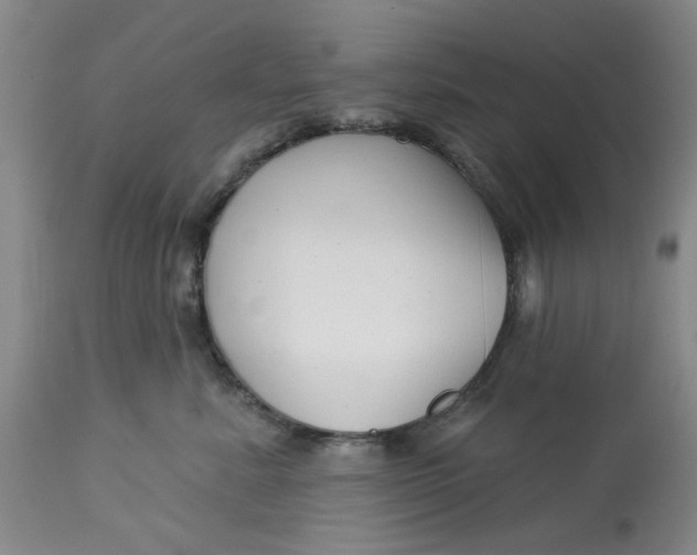 X0000113160619200909251353