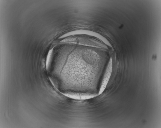 X0000113160621200909251353