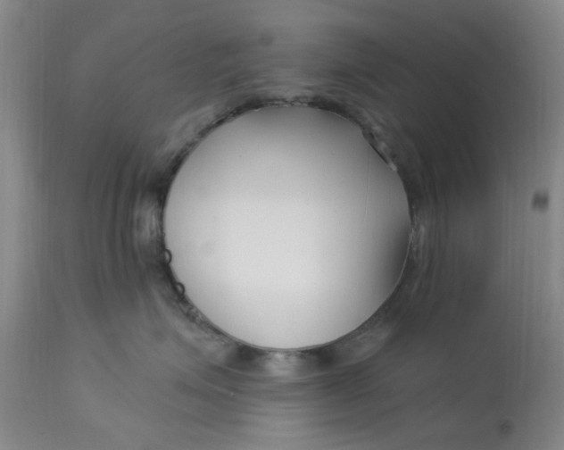 X0000113160623200909251353