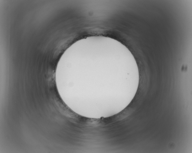 X0000113160624200909251353