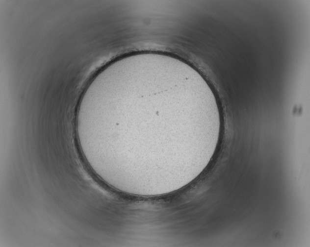 X0000113160625200909251352