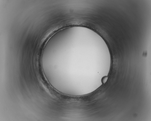 X0000113160626200909251352