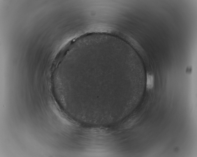 X0000113160627200909251352