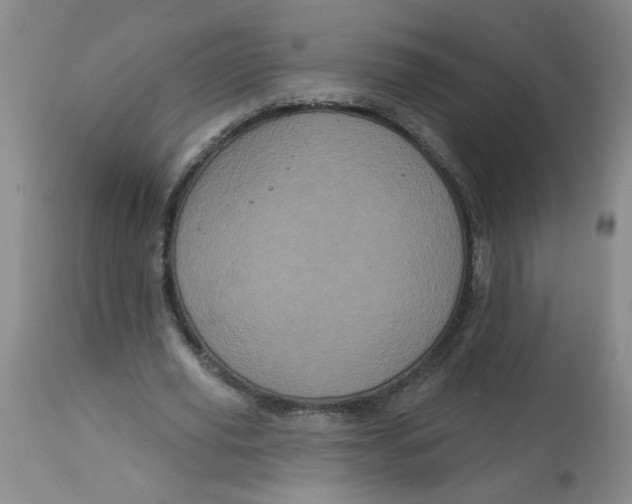 X0000113160629200909251352