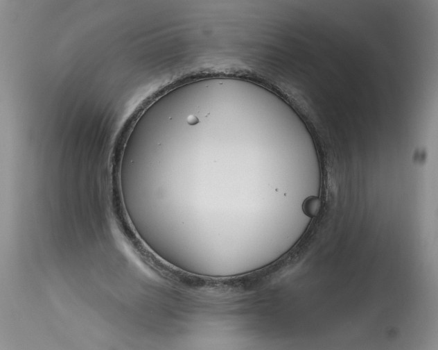 X0000113160630200909251352