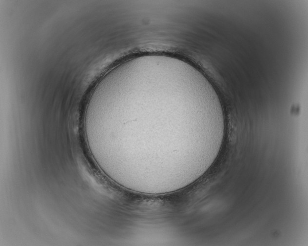 X0000113160631200909251352