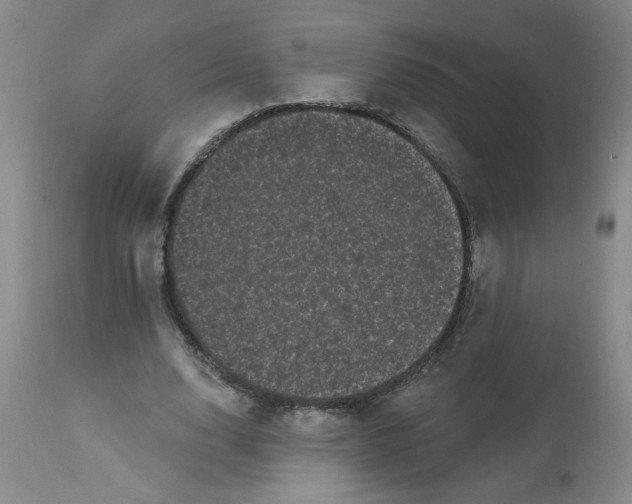 X0000113160632200909251352