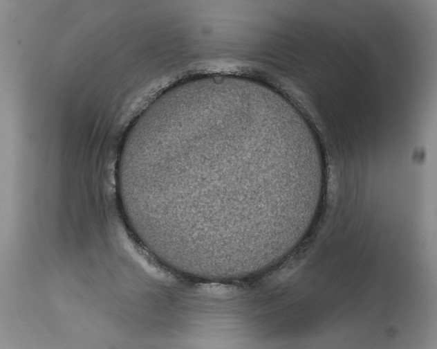 X0000113160633200909251352