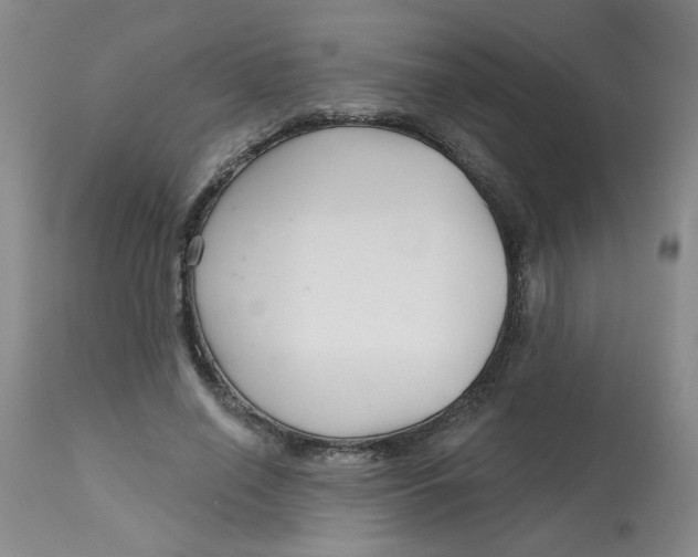 X0000113160638200909251352