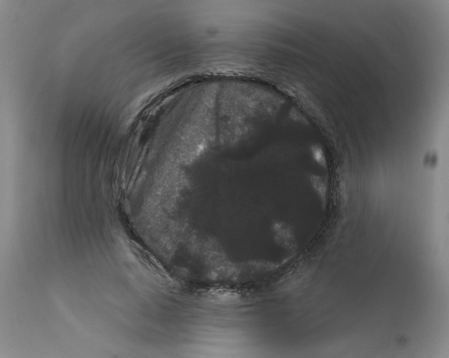 X0000113160640200909251352