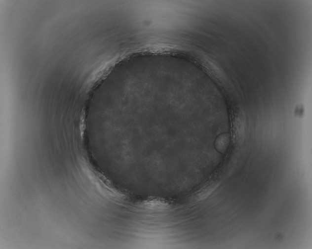 X0000113160644200909251352