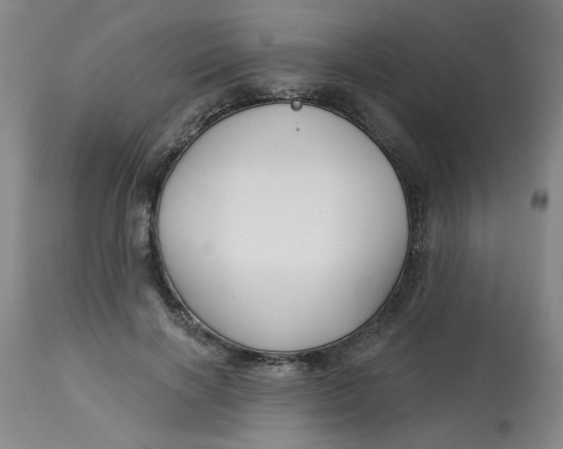 X0000113160646200909251353