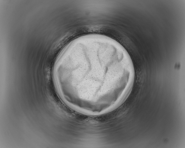 X0000113160648200909251353