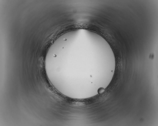 X0000113160649200909251353