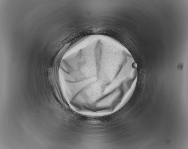 X0000113160650200909251353