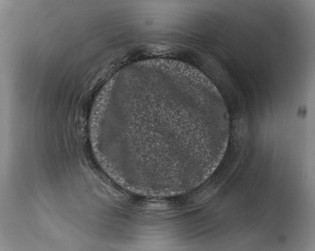 X0000113160653200909251353