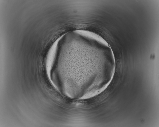 X0000113160655200909251353