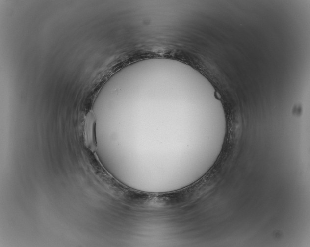 X0000113160656200909251353